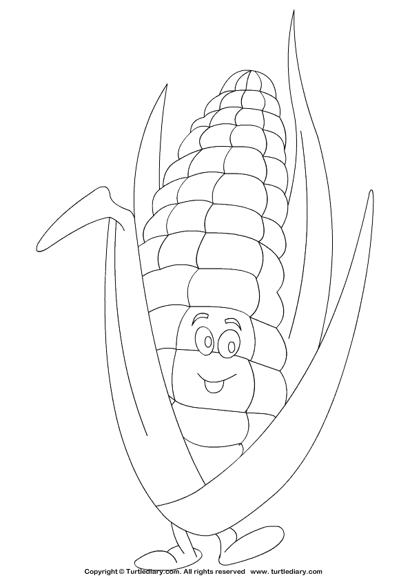 Corn cob coloring sheet turtle diary