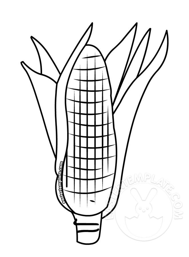 Ear of corn coloring page