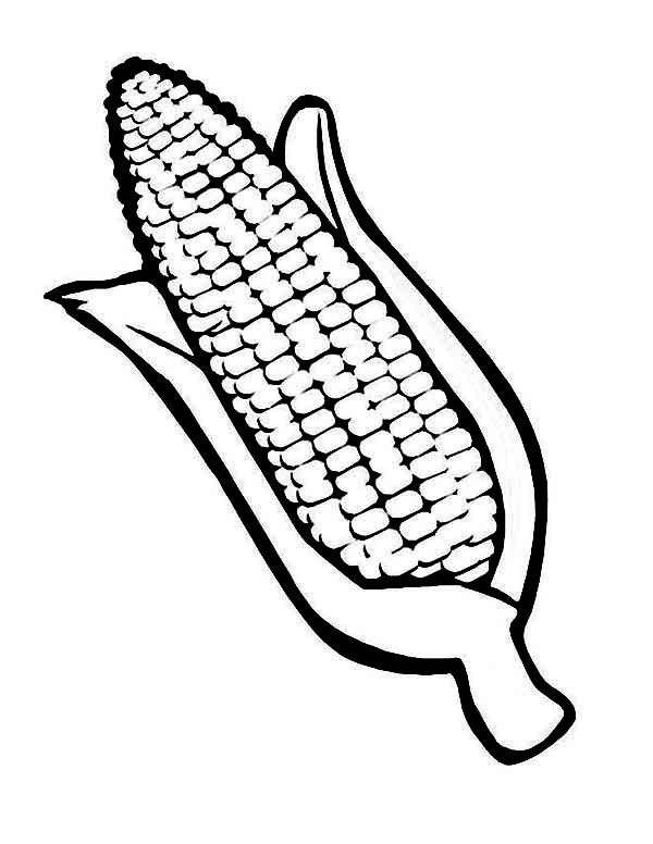 Drawing corn cob coloring page coloring sun corn on cob coloring pages shape coloring pages