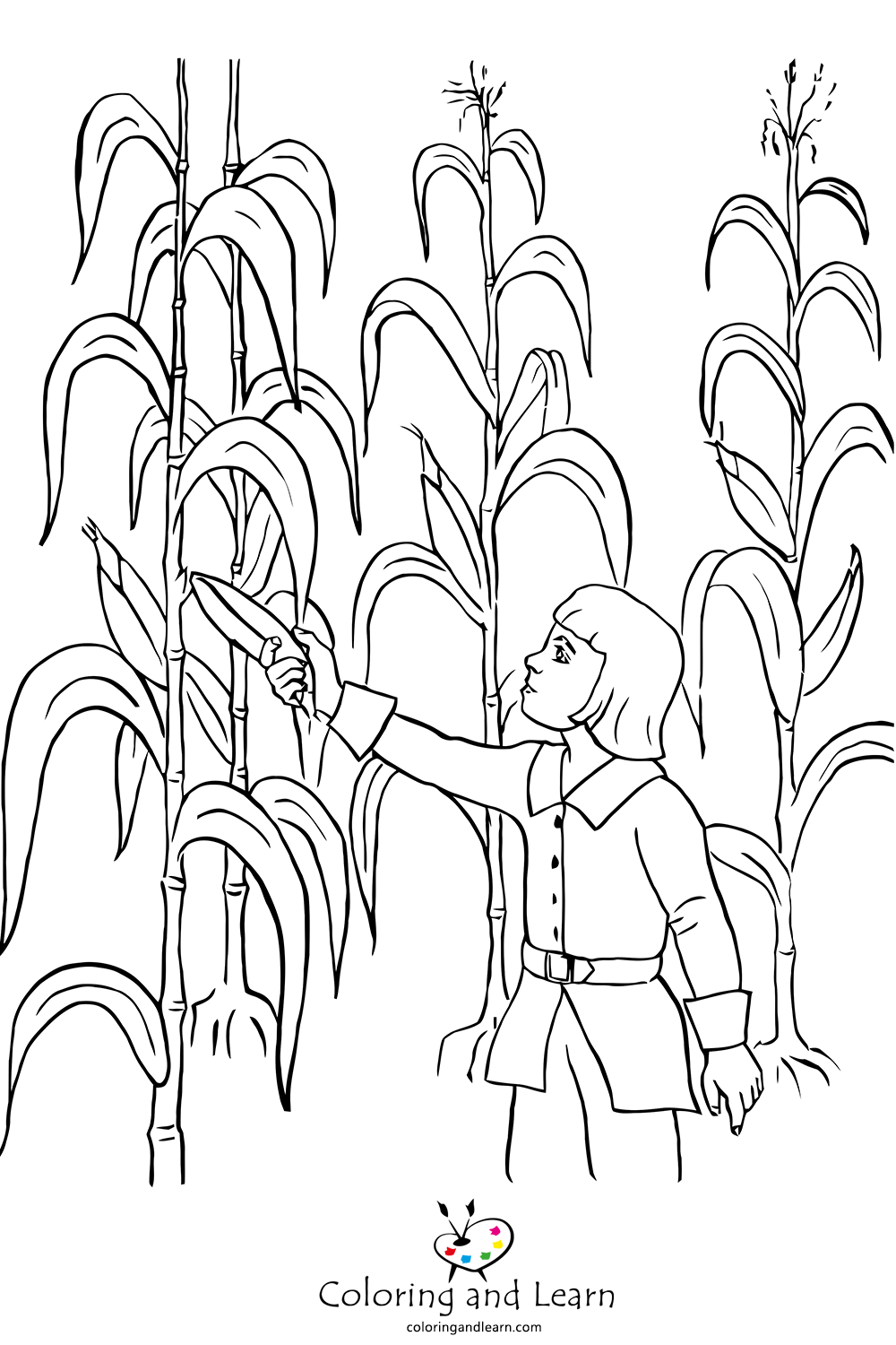 Corn coloring pages