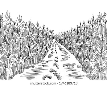 Thousand corn field vector royalty