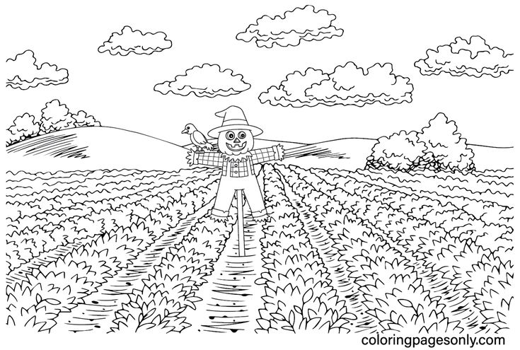 Scarecrow coloring pages