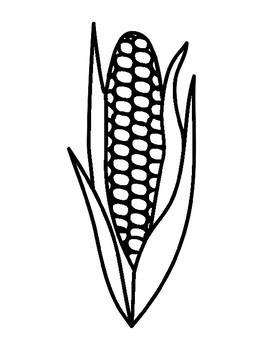 Corn templates corn coloring pages corn outline corn template tpt