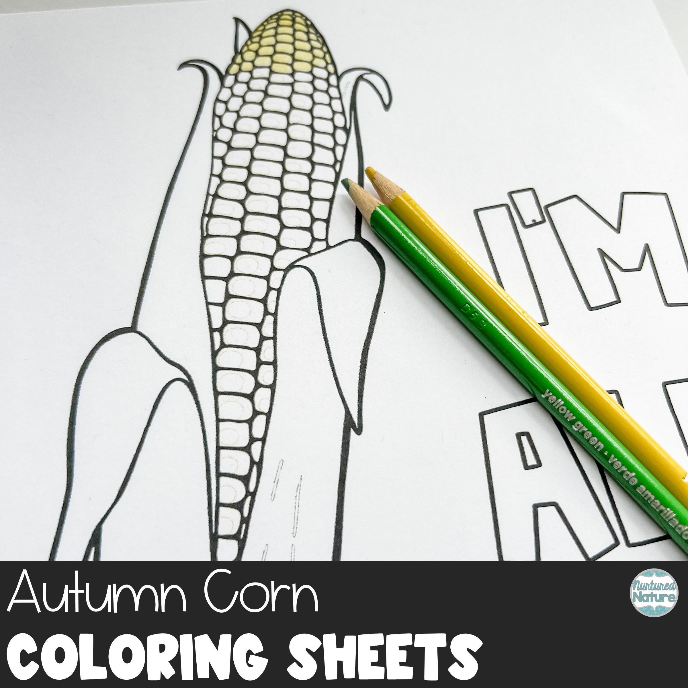 Fall coloring pages for kids fall festival activities thanksgiving coloring sheets corn print food puns digital download