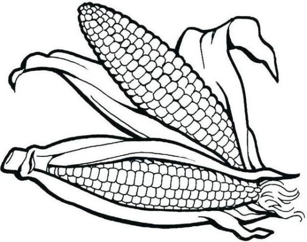 Corn coloring pages printable pdf