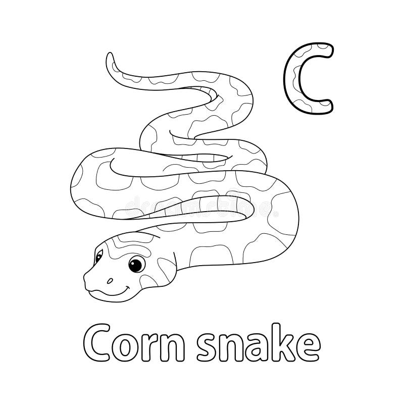 Snake coloring stock illustrations â snake coloring stock illustrations vectors clipart