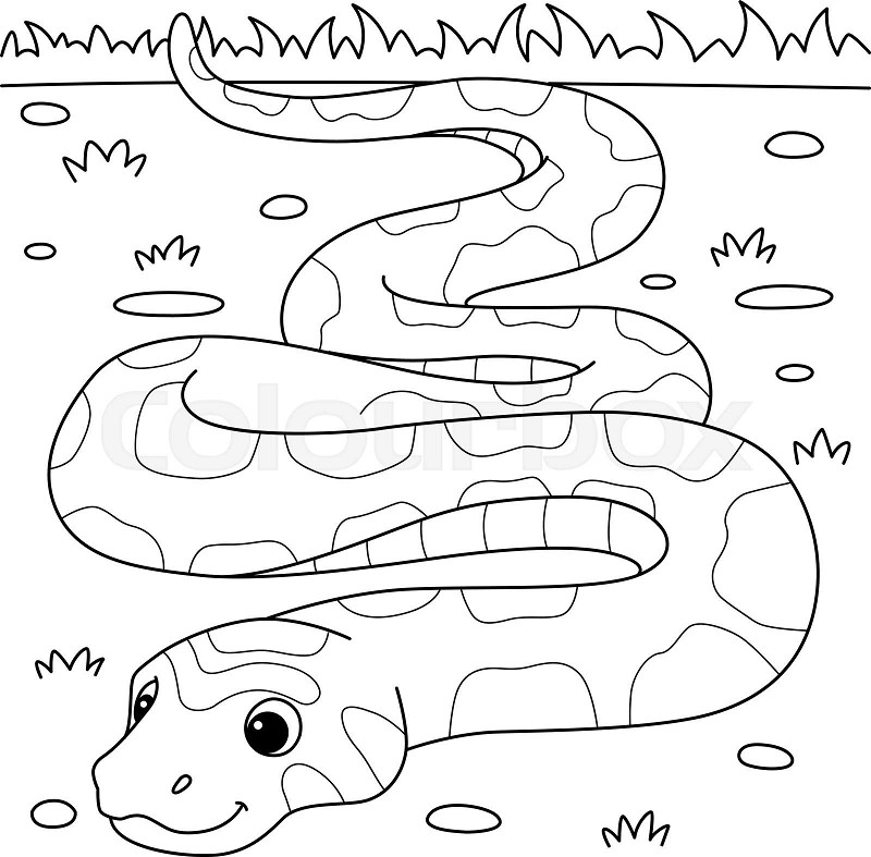 Corn snake animal coloring page for kids stock vector