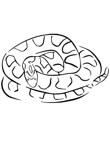 Corn snake coloring page free printable coloring pages