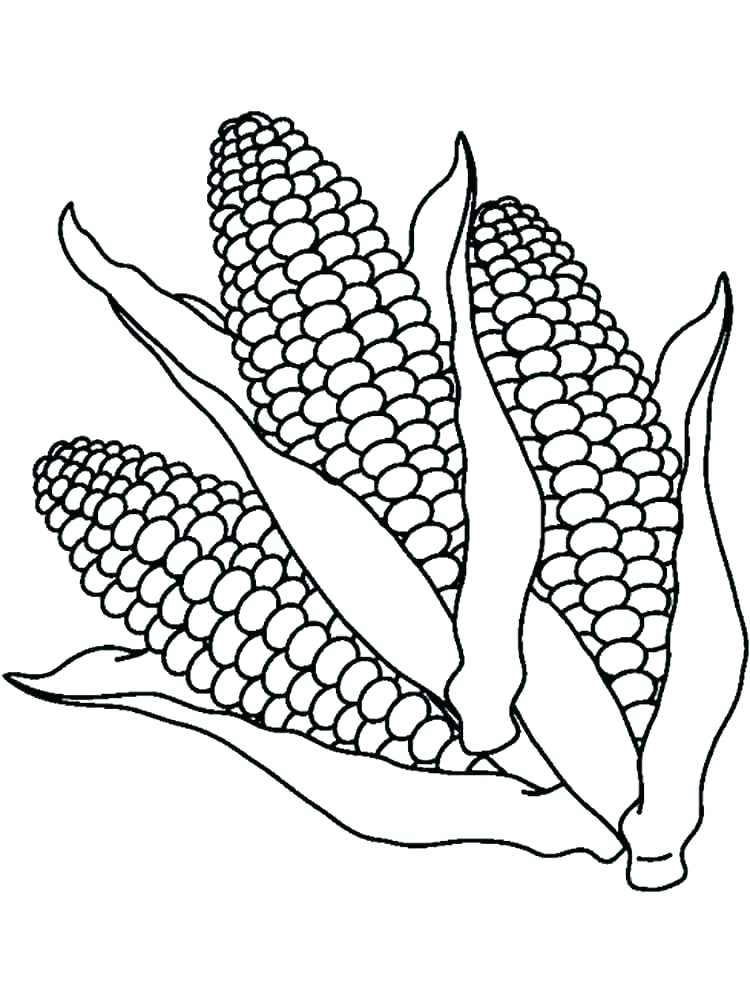 Corn coloring pages