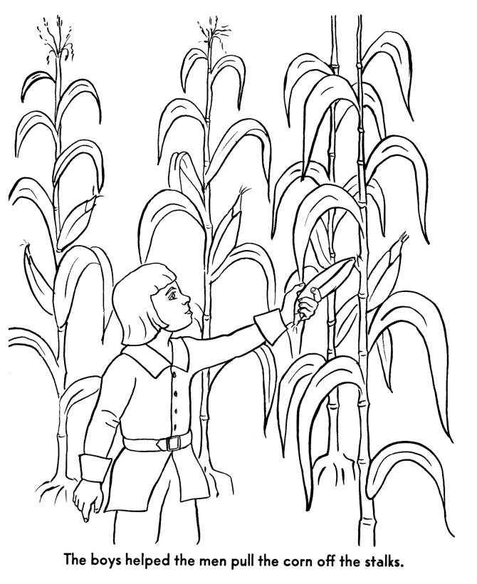 The pilgrims coloring pages pilgrim boys helped gather corn coloring pages usa