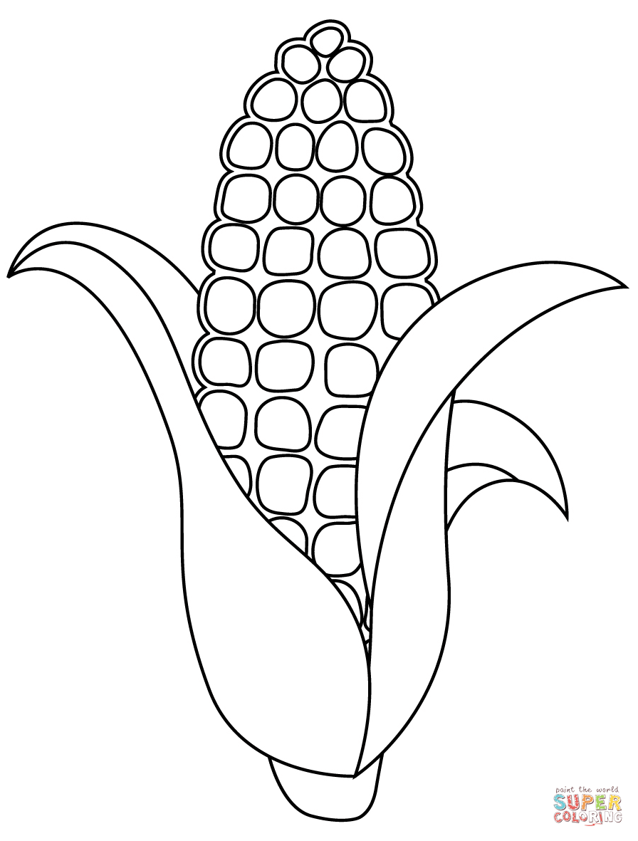 Corn stalk coloring page free printable coloring pages