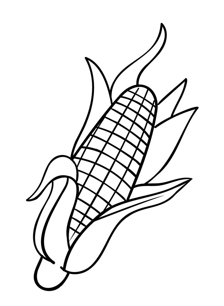 Corn coloring pages