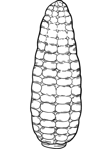 Corn coloring page free printable coloring pages