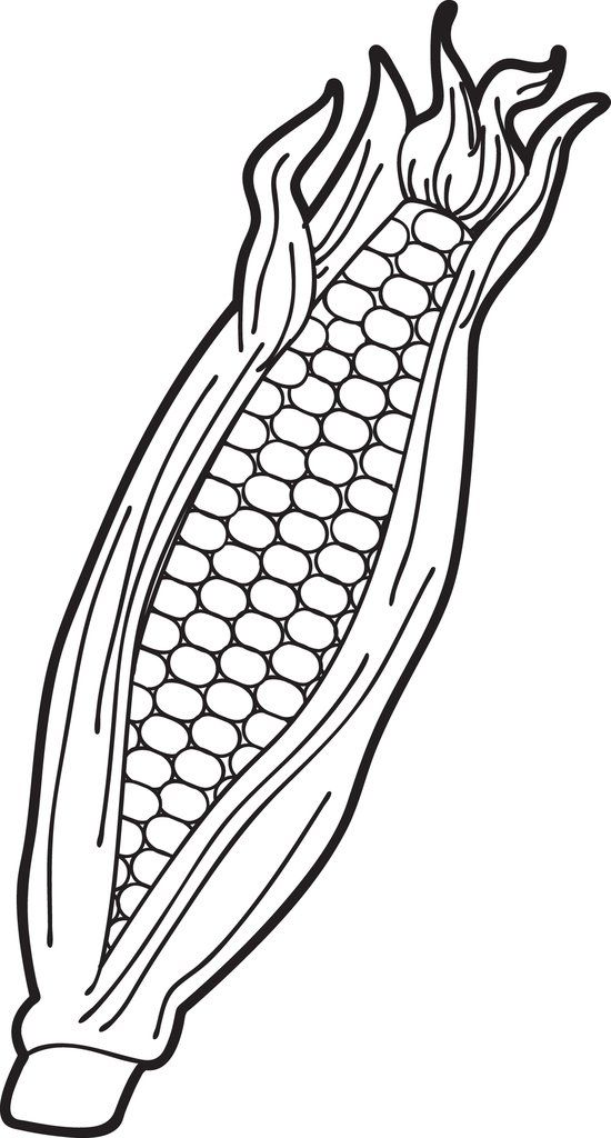 Printable ear of corn coloring page for kids coloring pages vegetable coloring pages shape coloring pages