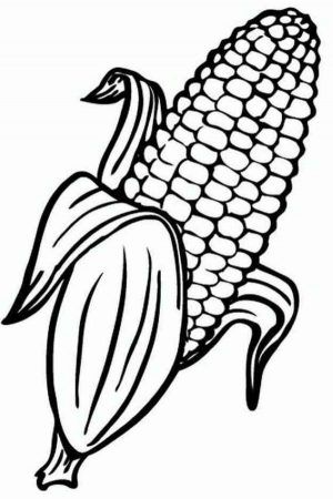 Corn coloring pages printable pdf