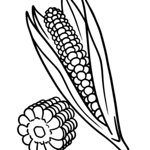 Corn coloring pages printable for free download