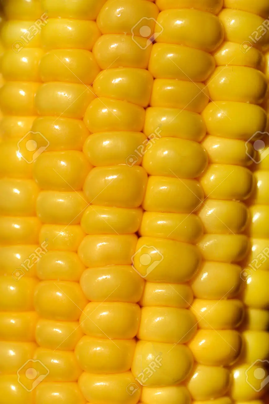 Corn on the cob detail