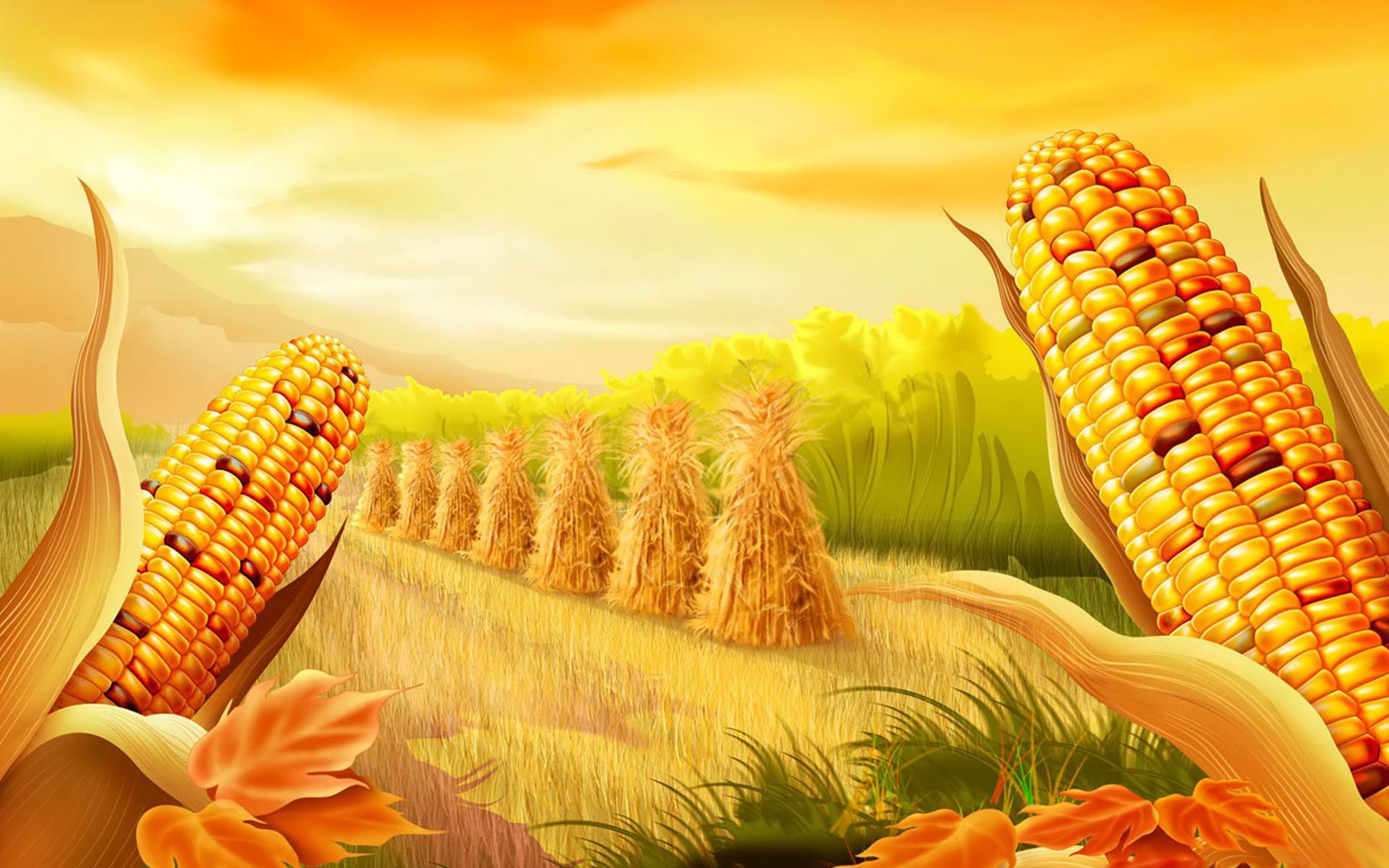 Thanksgiving corn wallpapers