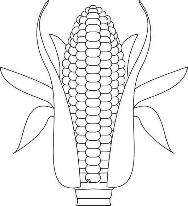 Corn coloring pages printable pdf