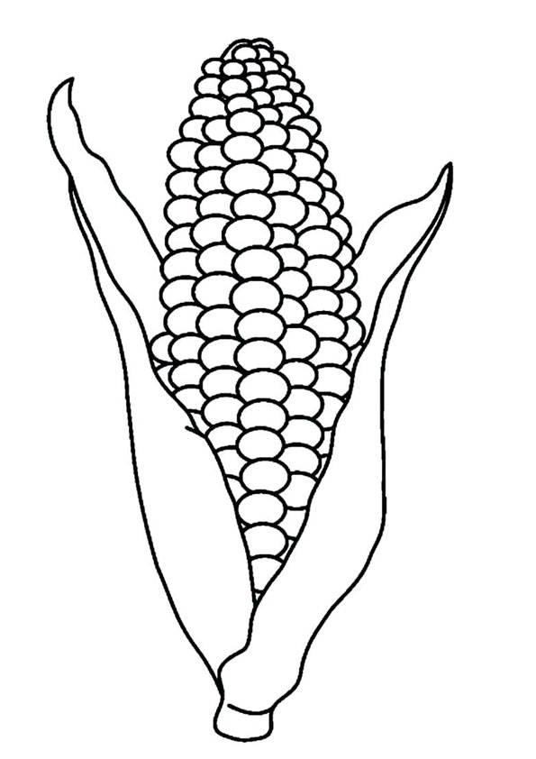 Coloring pages corn cob coloring page