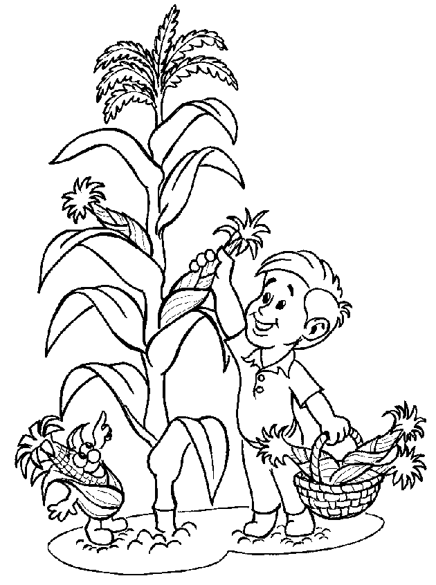 Corn coloring pages