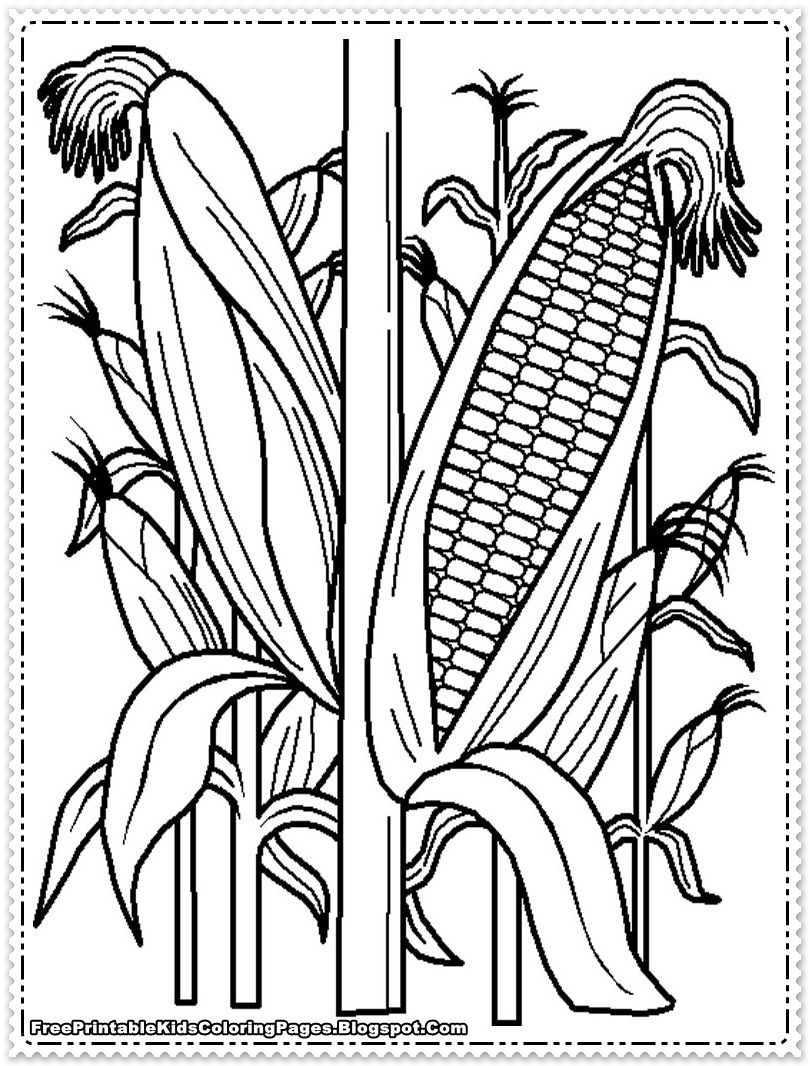 Free coloring pages of corn pãginas para colorear de animales dibujos de frutas dibujos