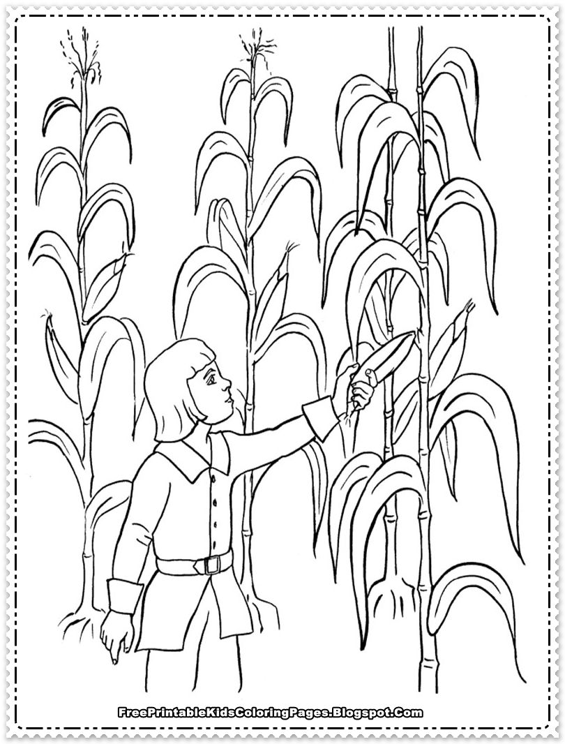 Corn coloring pages printable thanksgiving coloring pages vegetable coloring pages coloring pages