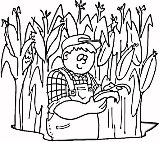 Coloring pages coloring page corn