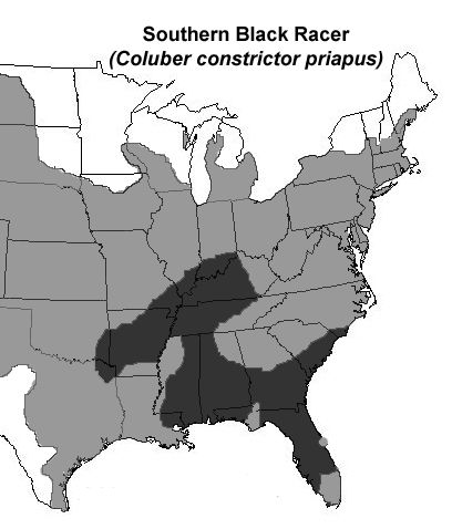 Wecuw âlas serpientes negrasâ identificaciãn y ecologãa