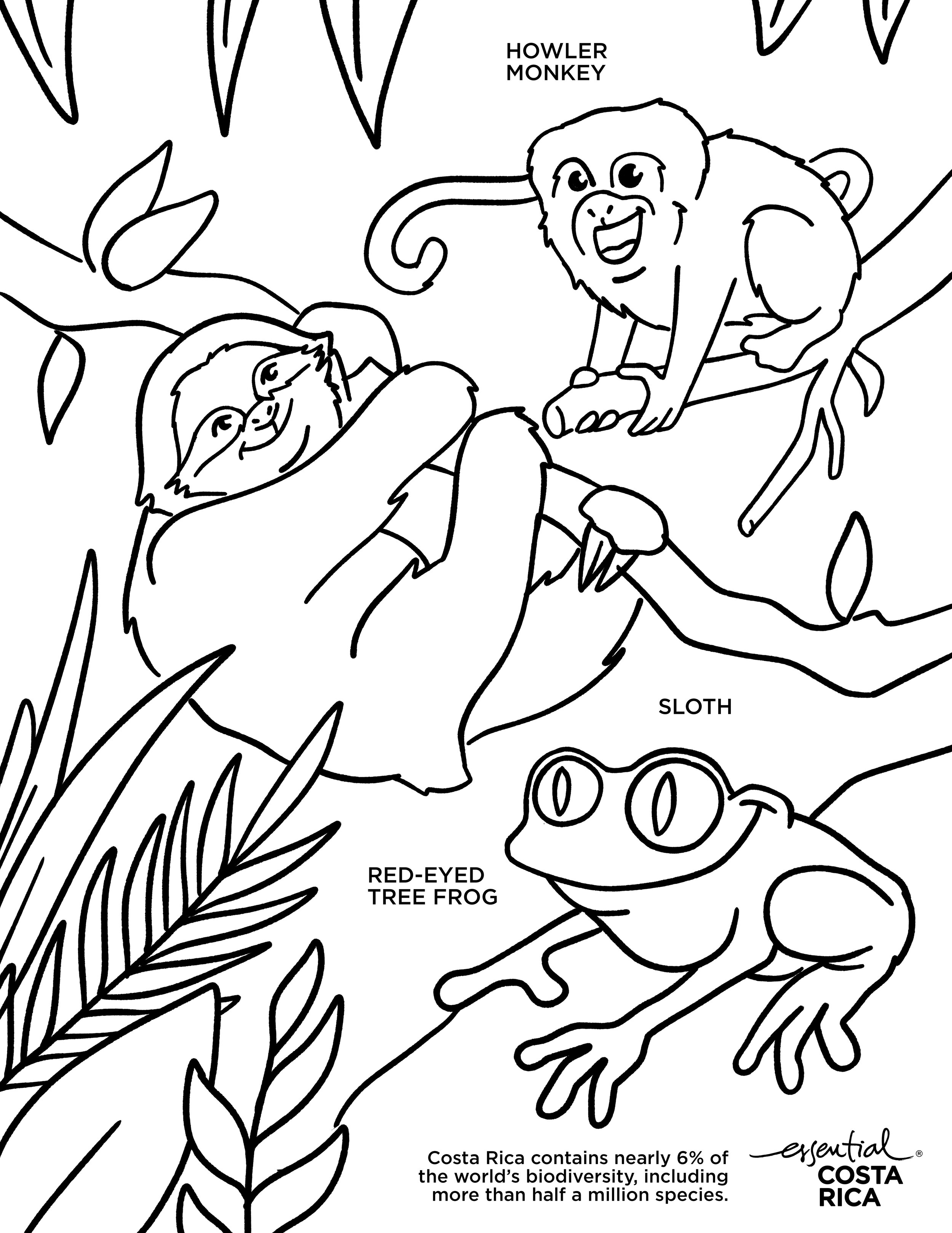 Coloring pages â kathleen murray