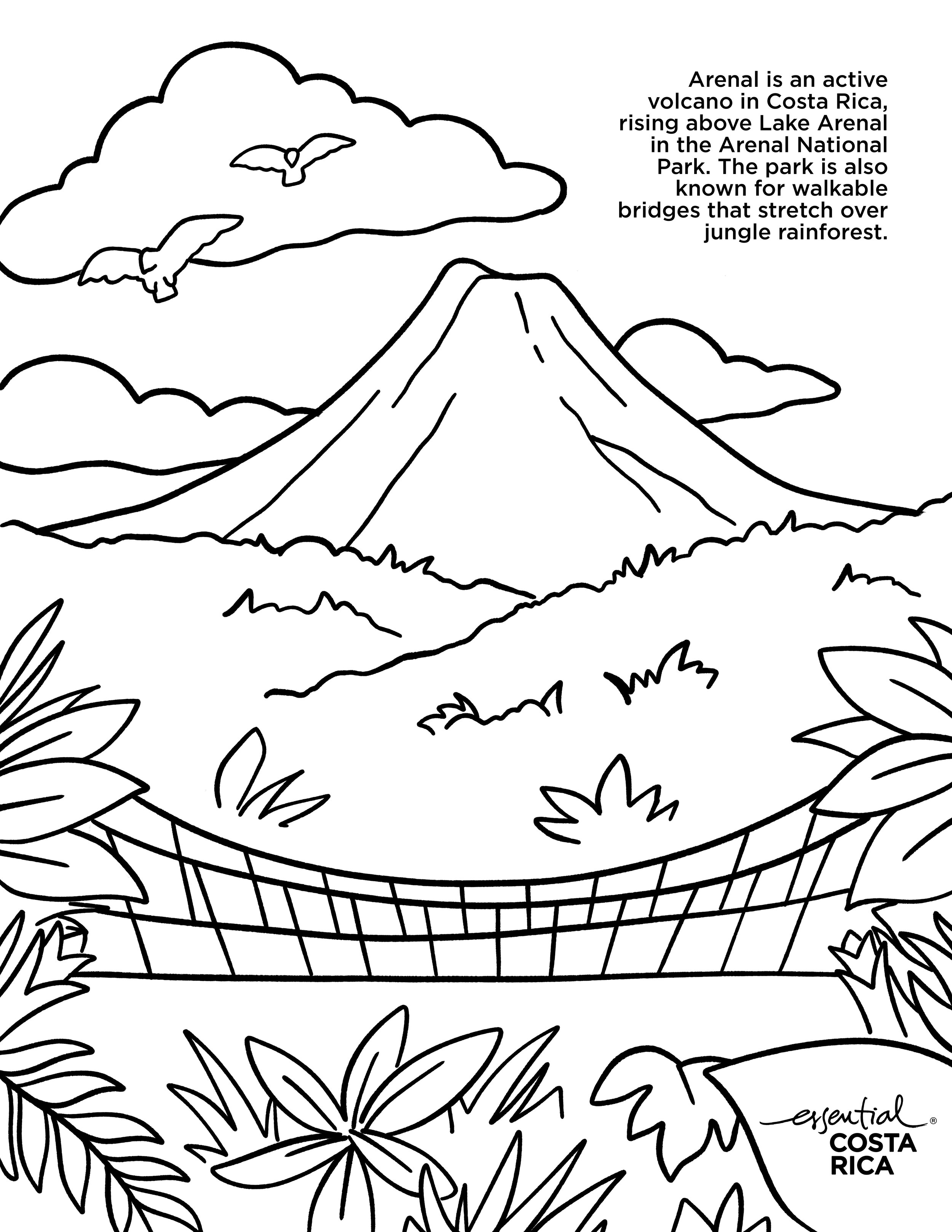 Coloring pages â kathleen murray