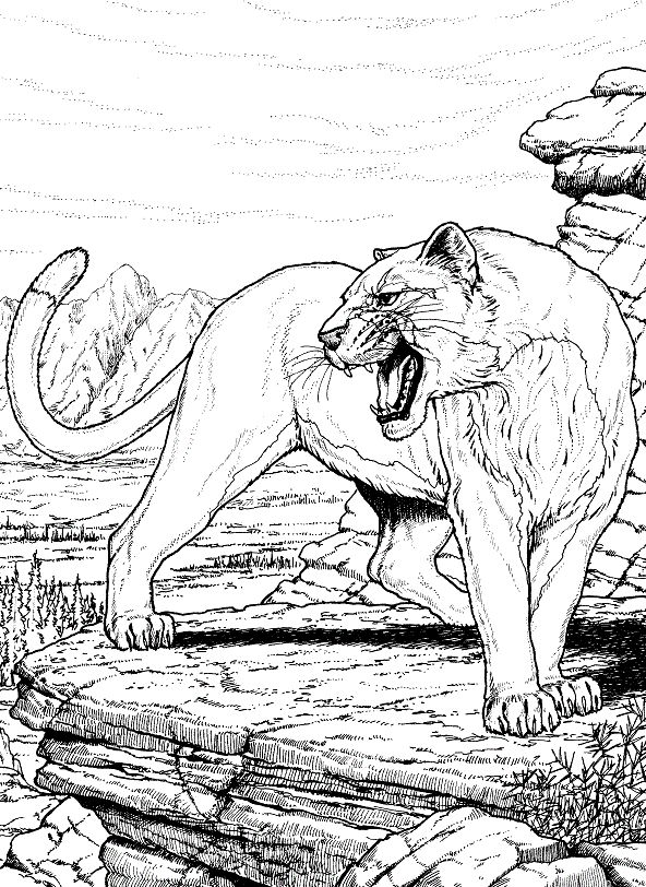 Animal coloring pages