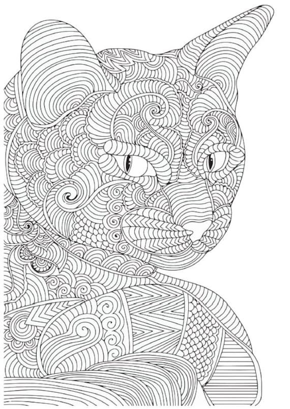 Cougar mandala coloring page