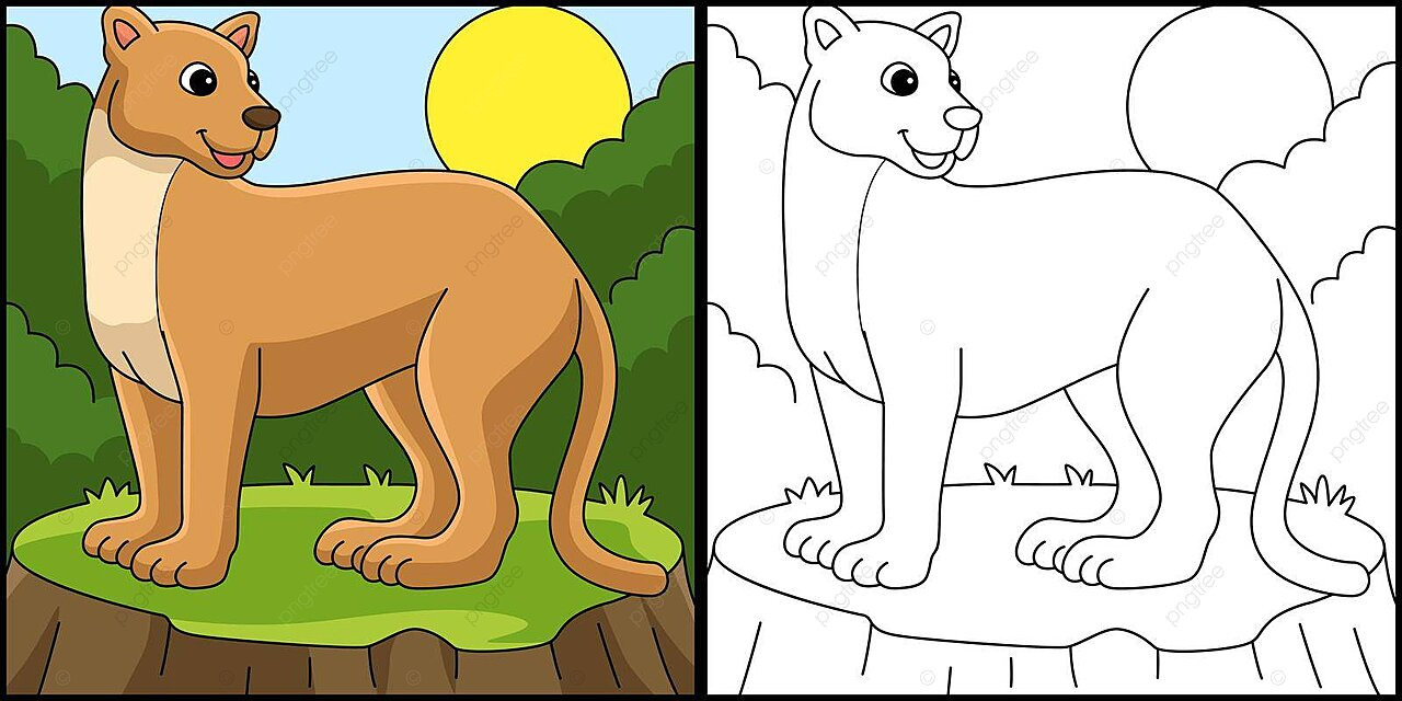 Puma animal coloring page colored illustration africa art cougar vector animal drawing rat drawing ring drawing png and vector with transparent background for free download