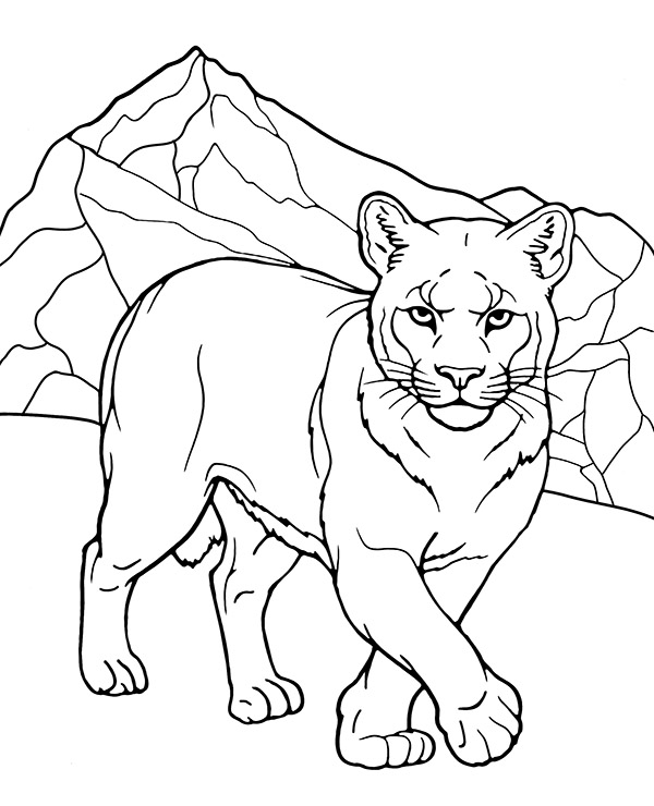 Cougar coloring page to print