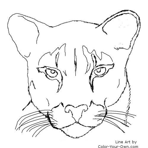 Mountain lion lion coloring pages the art sherpa lion art