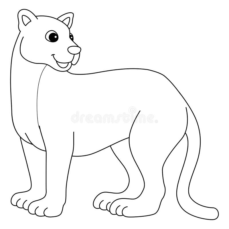 Cougar coloring stock illustrations â cougar coloring stock illustrations vectors clipart