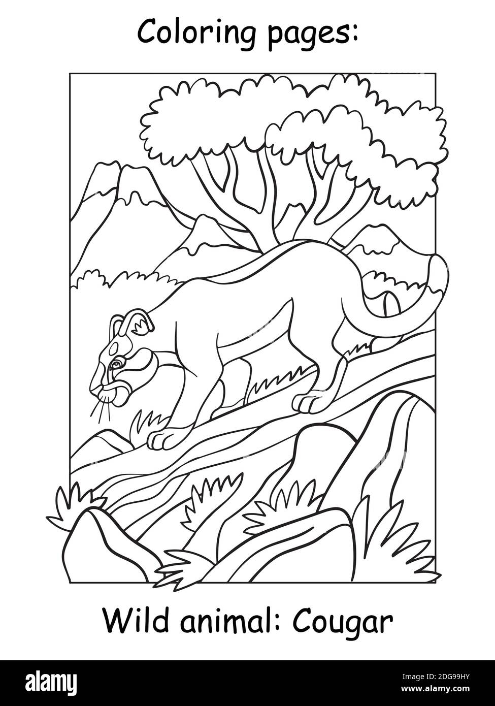 Vector coloring pages cougar walking on a tree in mountain area cartoon illustration isolated on white background for coloring book preschool educa stock vector image art