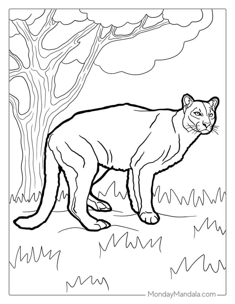 Lion coloring pages free pdf printables