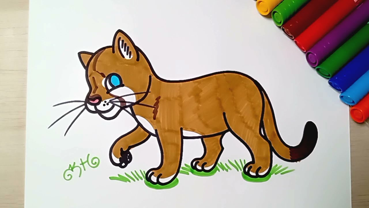 How to draw a cougar pua