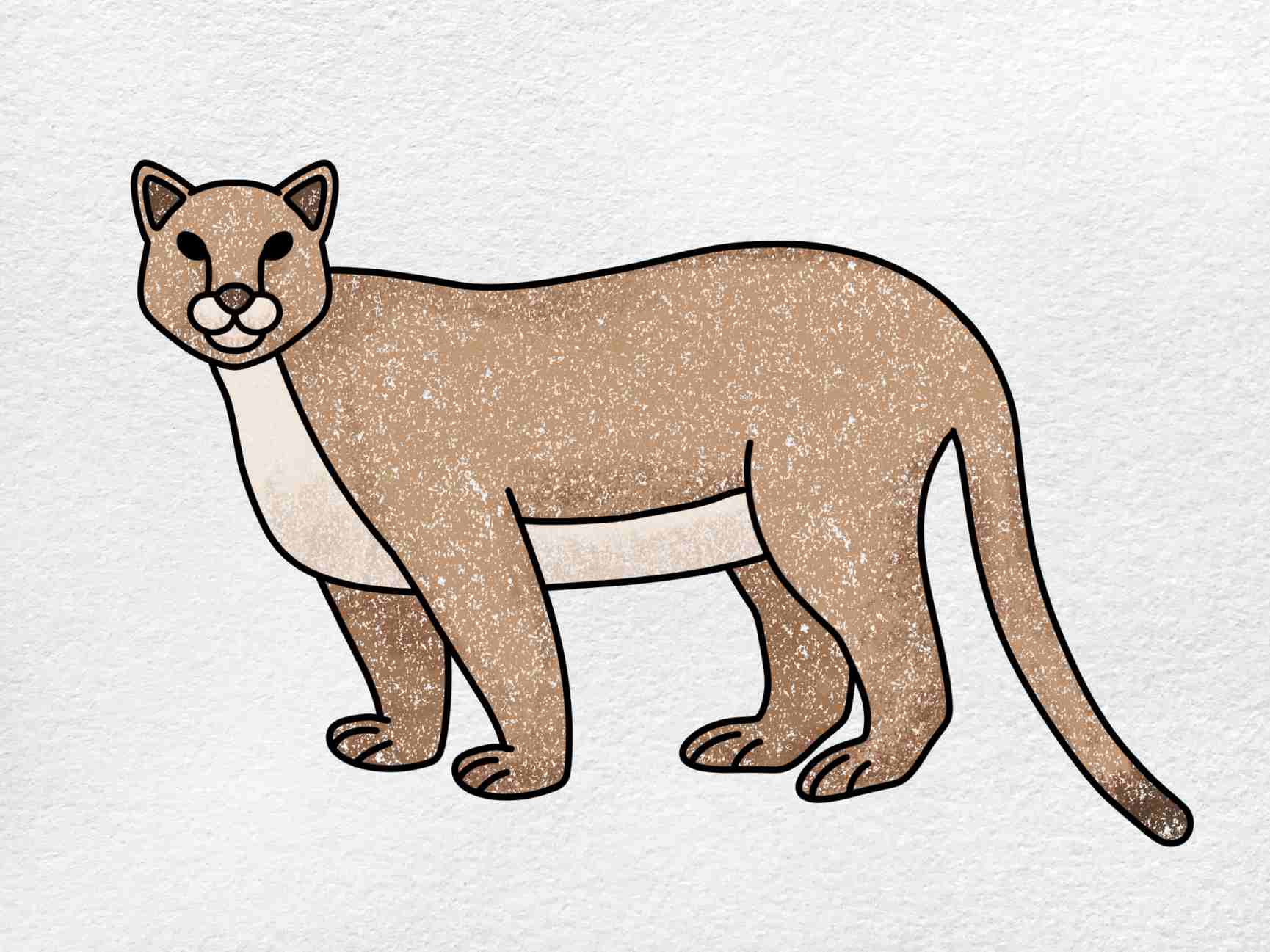 How to draw a mountain lion