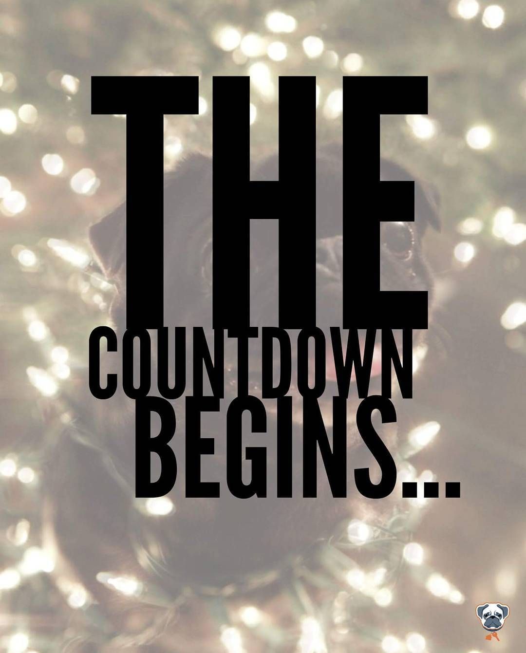 And the countdown begsno no no were not talkg about the christmas countdown not yet were refeâ countdown mary kay marketg christmas countdown