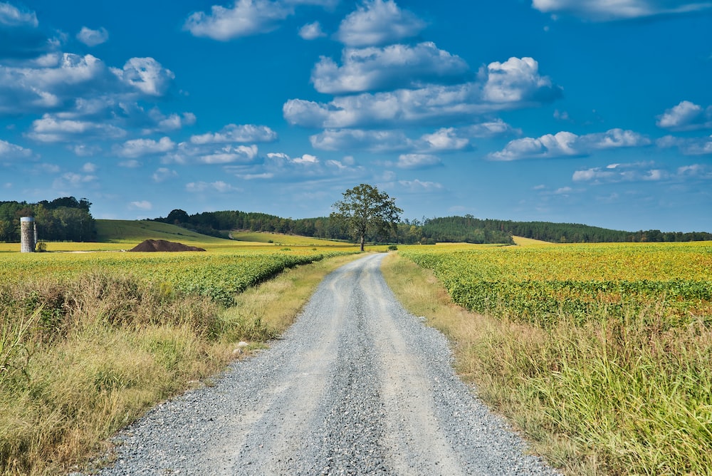 Country road pictures download free images on