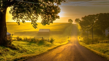 Sunlit country road