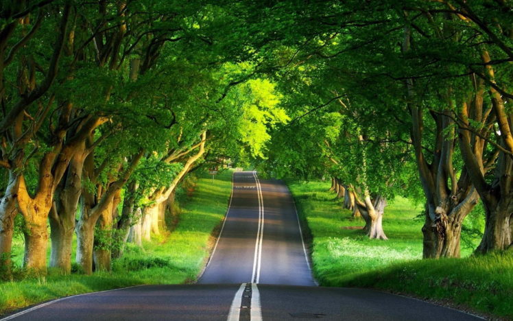 Landscape country road wallpapers hd desktop and mobile backgrounds