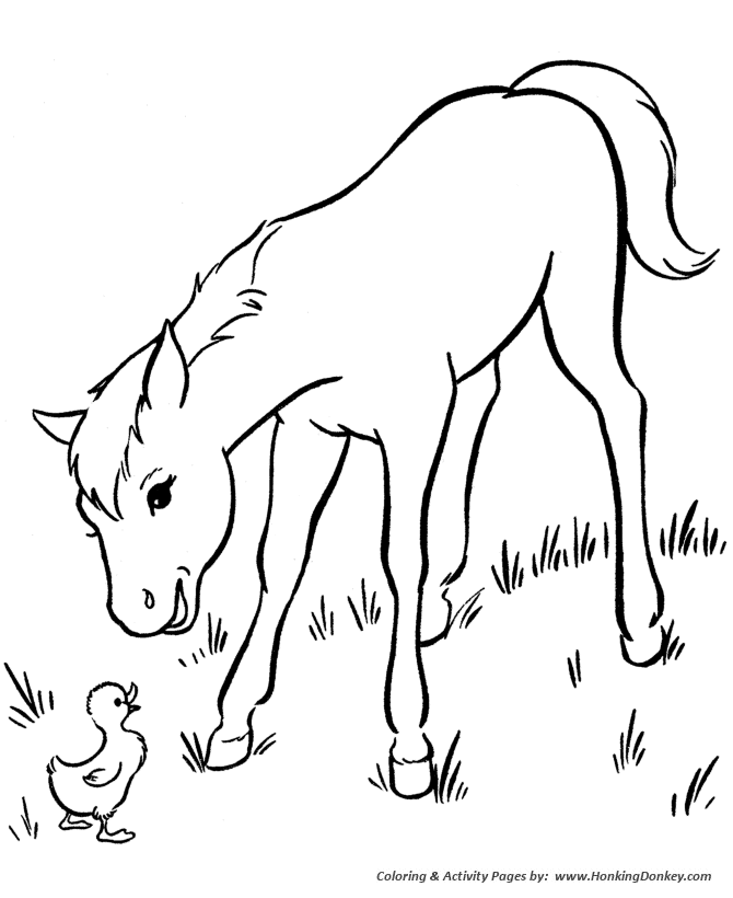 Horse coloring pages friendly young horse coloring page