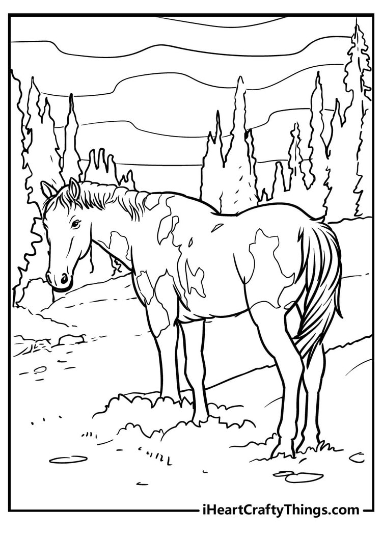 Horse coloring pages free printables