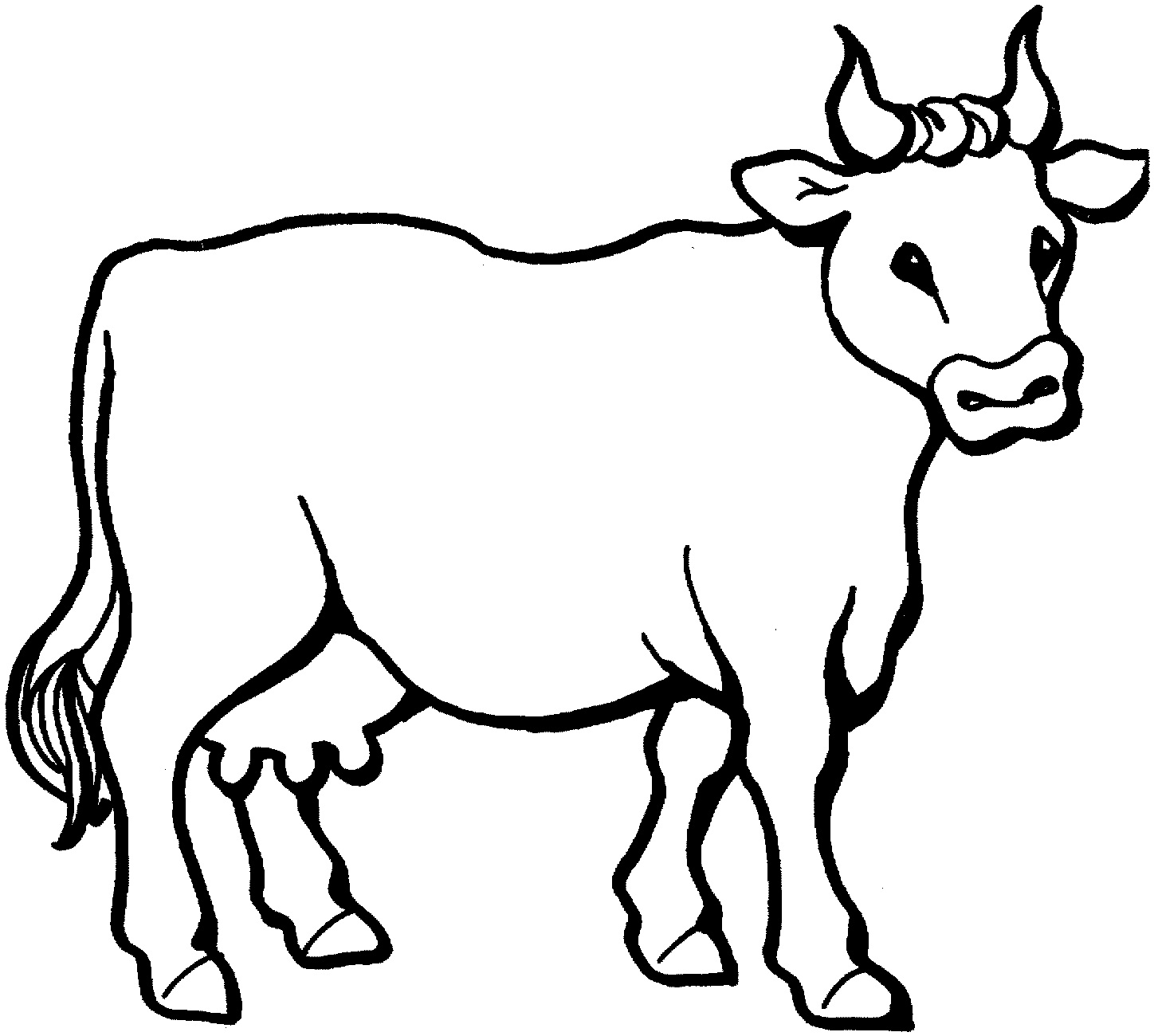 Free printable cow coloring pages for kids