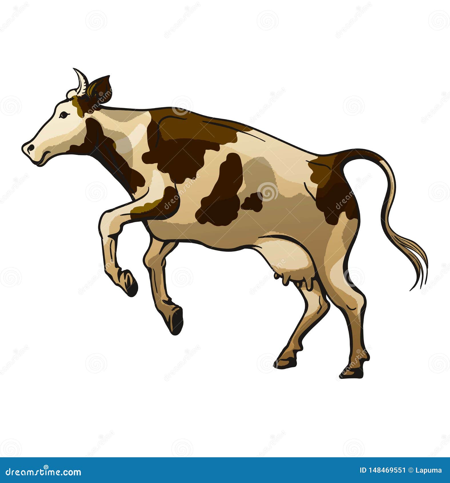 Picture of a jumping cow on a white background stock vector