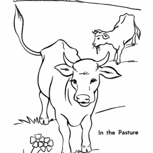 Cow coloring pages printable for free download